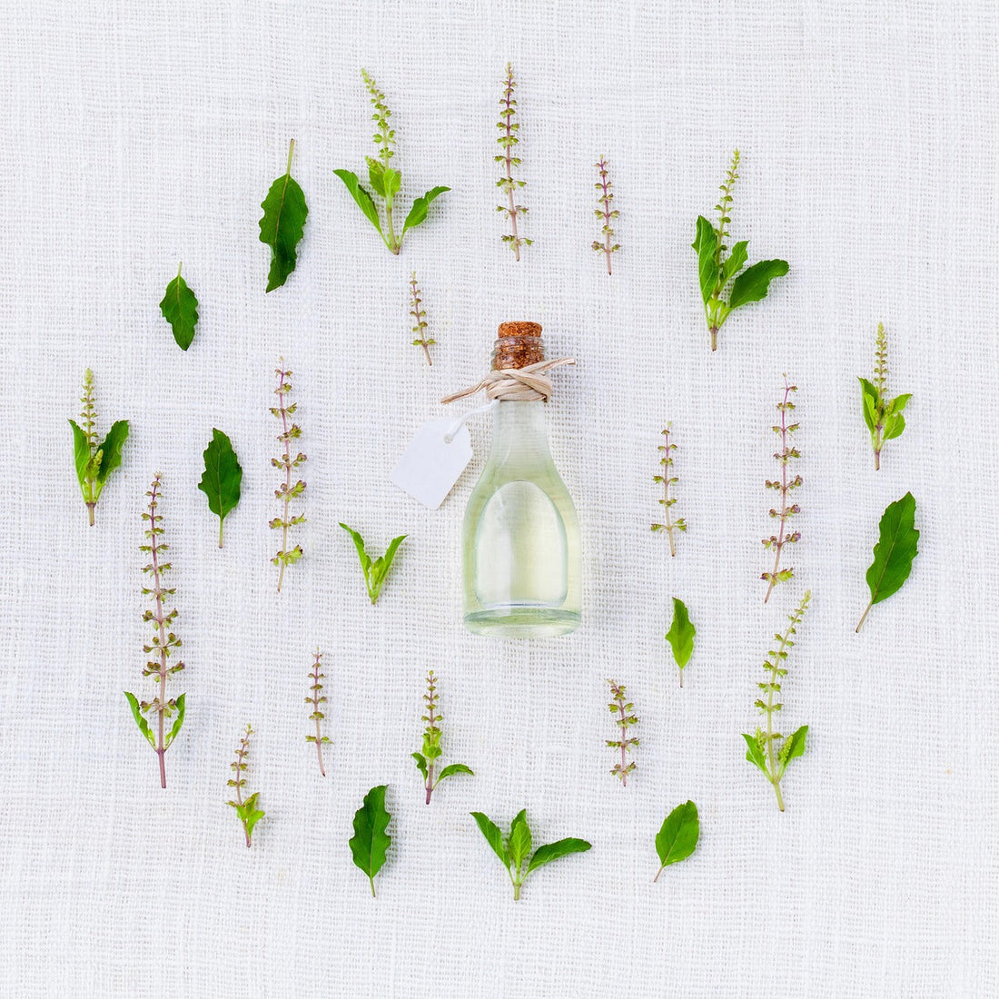 Grow Medicinal Herbs for Natural Remedies