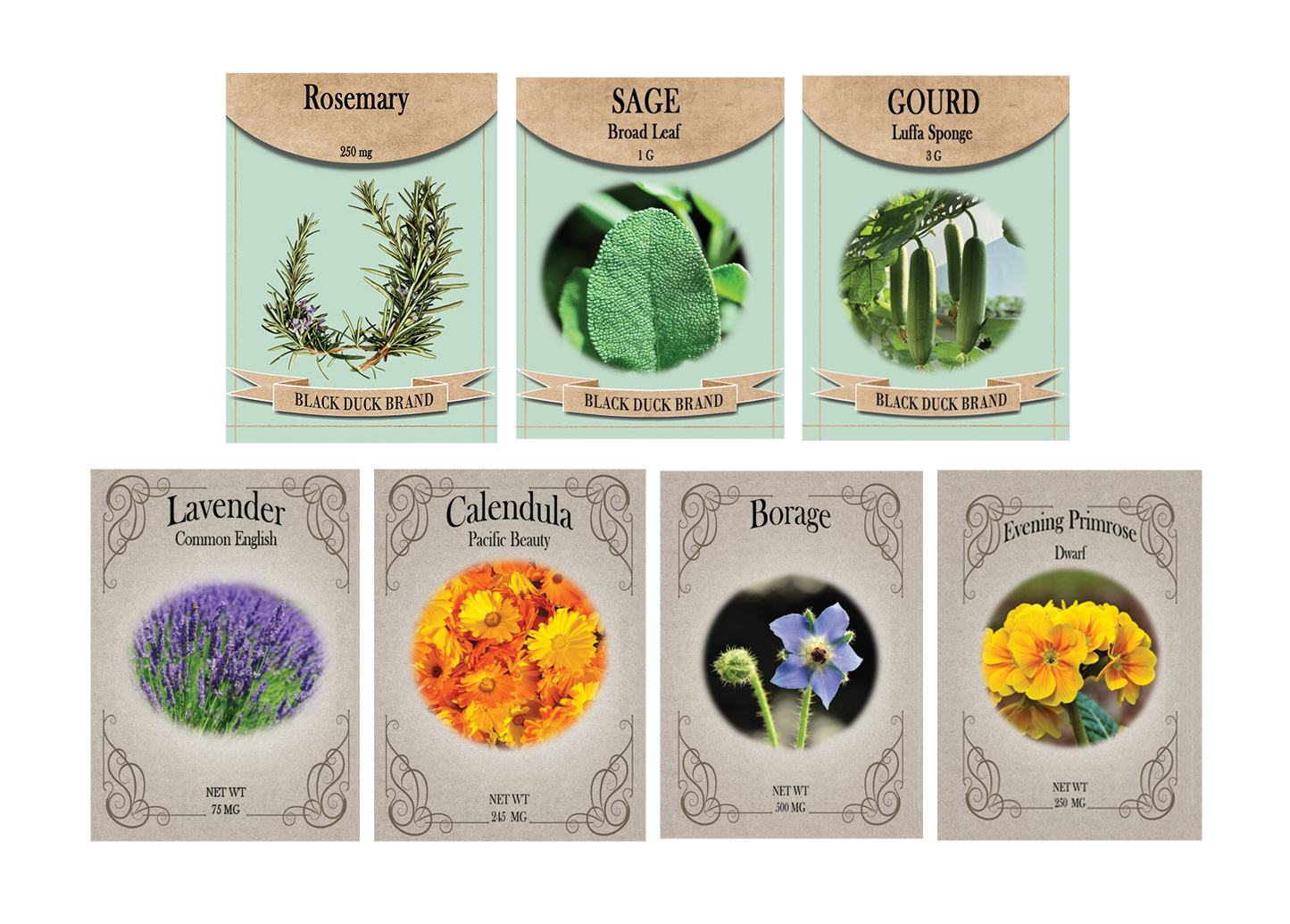 Botanical Skincare Seed Kit – 7 Heirloom Herbs & Flowers for Natural Soap & DIY Bath Products | Grow Lavender, Calendula, Rosemary & More