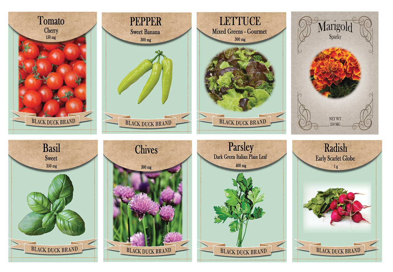 Patio & Container Garden Kit – 8 Heirloom Seeds for Small-Space Gardening | Grow Tomatoes, Lettuce, Peppers, Herbs & Marigolds in Pots or Planters