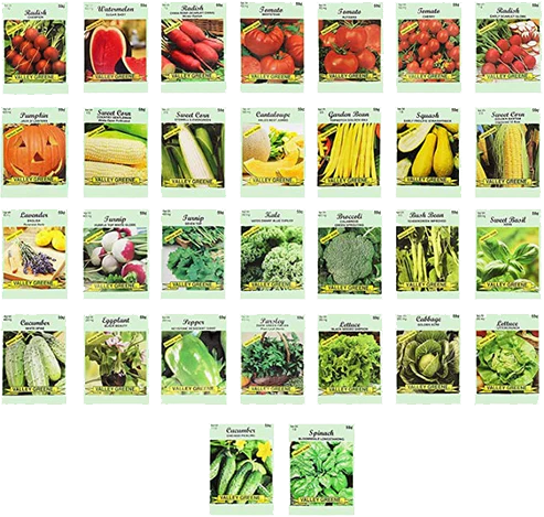 vegetables to plant from seed 30 Assorted Packages of Vegetable Seeds, 15+ Varieties, All Seeds are – Freedom Farms