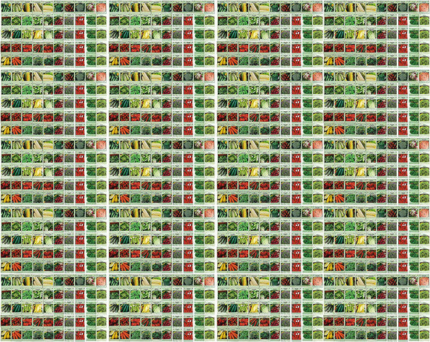 1000 Packs Assorted Heirloom Vegetable Seeds 30+ Varieties All Seeds are Heirloom, 100% Non-GMO Tens of Thousands Seeds