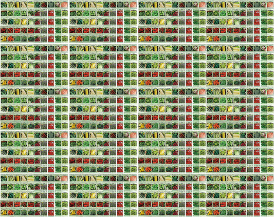 1000 Packs Assorted Heirloom Vegetable Seeds 30+ Varieties All Seeds are Heirloom, 100% Non-GMO Tens of Thousands Seeds