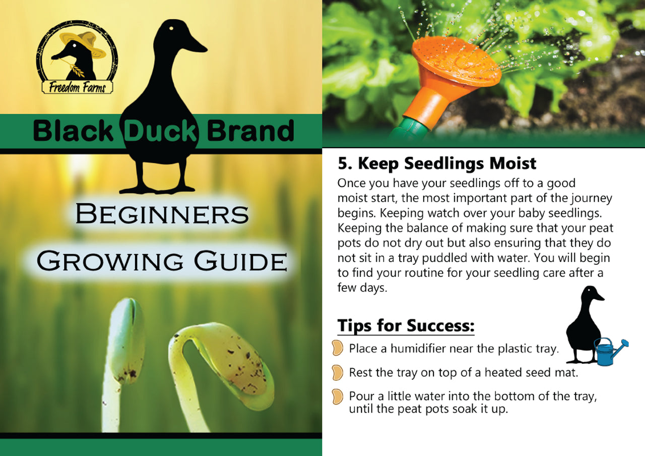 Set of 40 Assorted Vegetable Packets with Beginners Growing Guide | Non-GMO | Heirloom