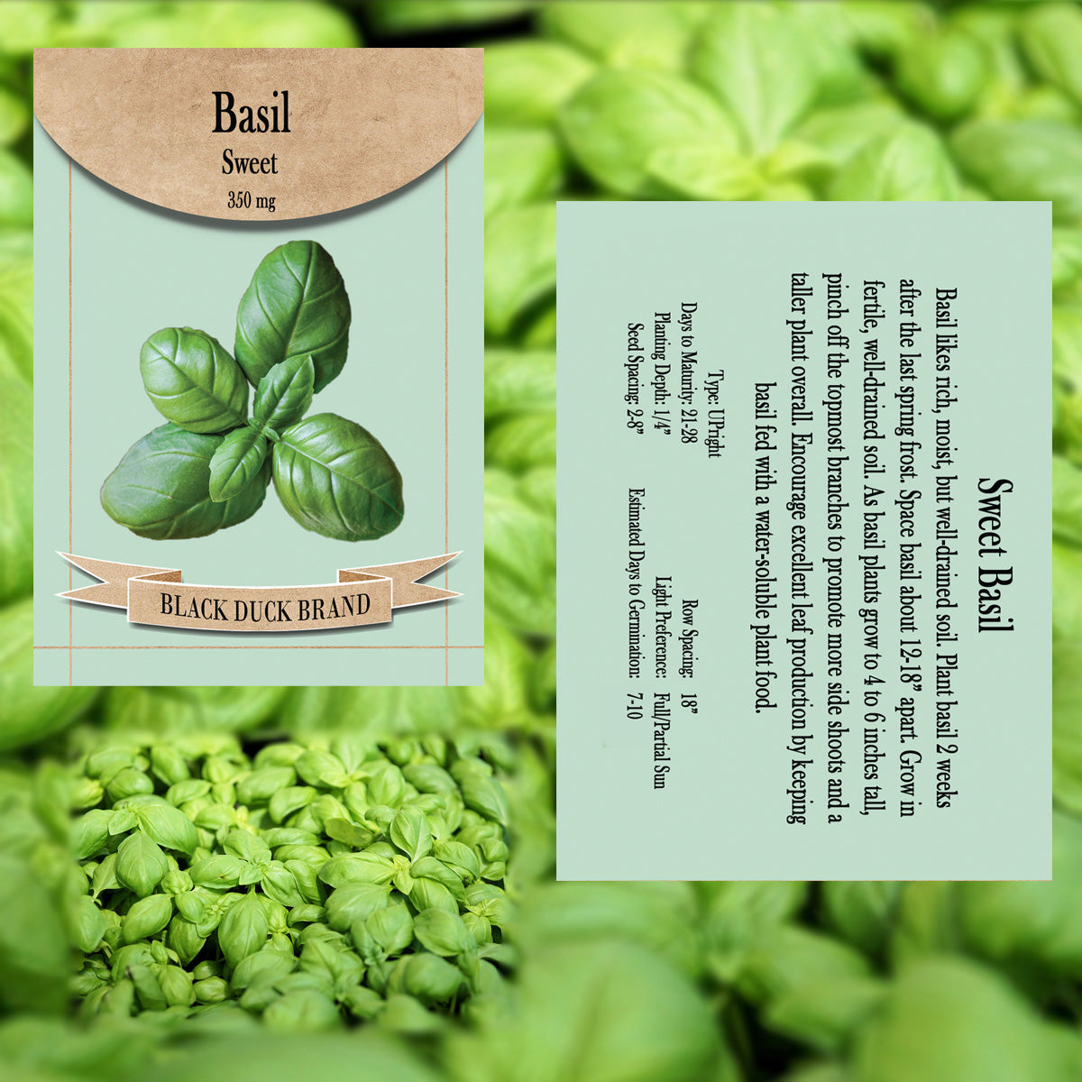 2025 You Pick Herbs - Customize your Set with All the Savings! Bulk Sets