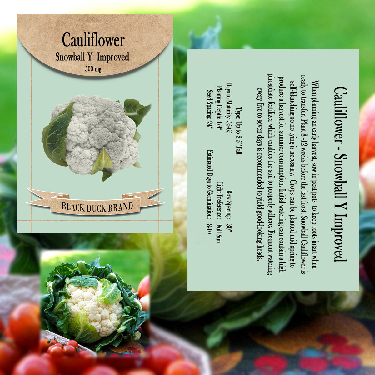 2025 You Pick Vegetables - Customize Your Sets with All the Savings! Bulk Sets