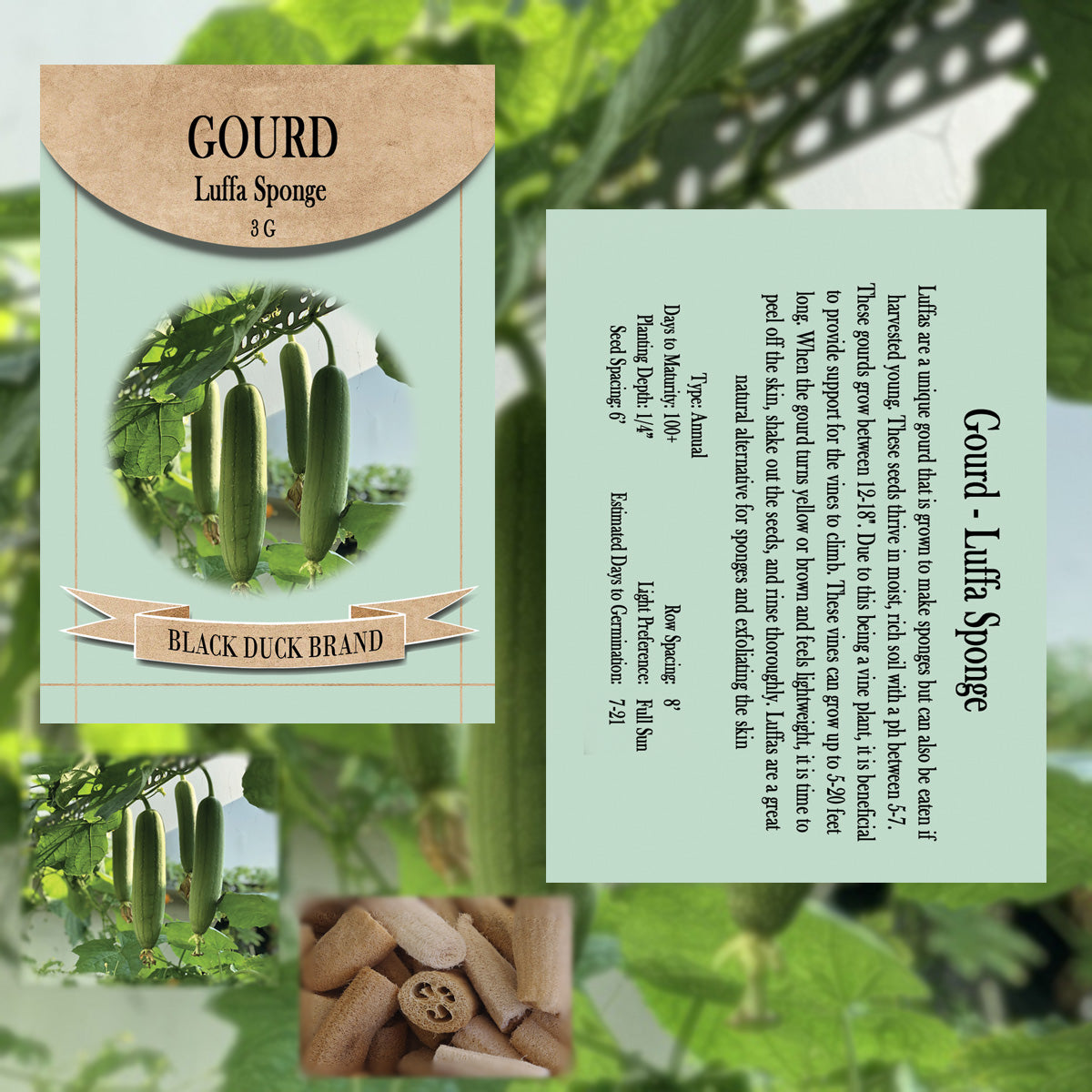 2025 You Pick Vegetables - Customize Your Sets with All the Savings! Bulk Sets