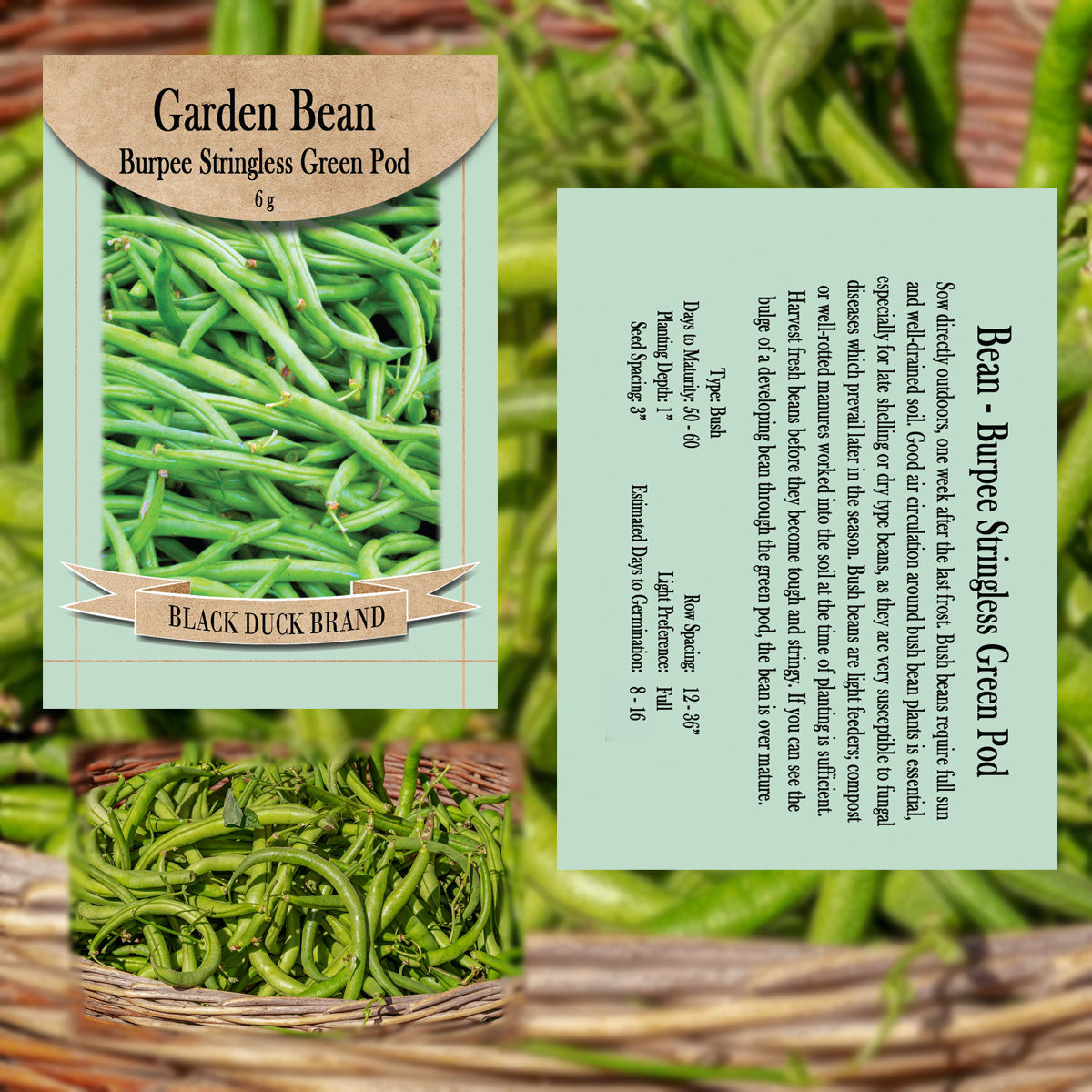 2025 You Pick Vegetables - Customize Your Sets with All the Savings! Bulk Sets