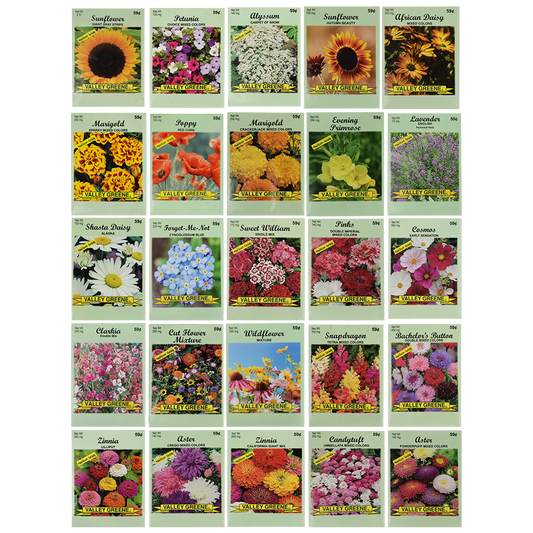 2025 Set of 1000 Assorted Valley Green Flower Seed Packets! Flower Seeds in Bulk - 10+ Varieties Included