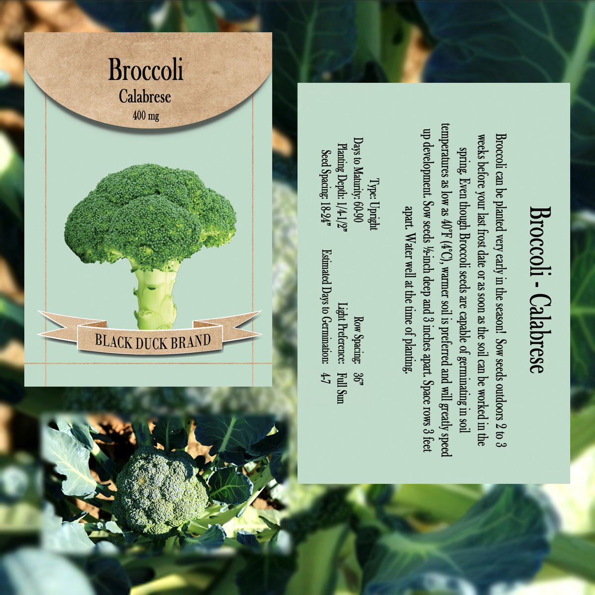 2025 You Pick Vegetables - Customize Your Sets with All the Savings! Bulk Sets