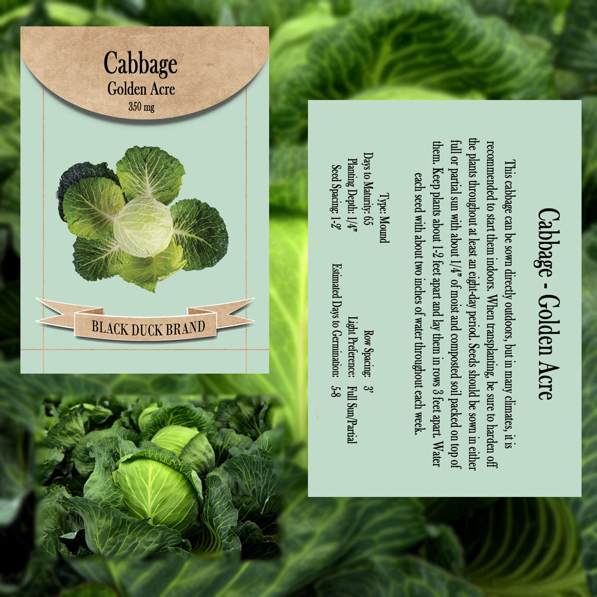 2025 You Pick Vegetables - Customize Your Sets with All the Savings! Bulk Sets