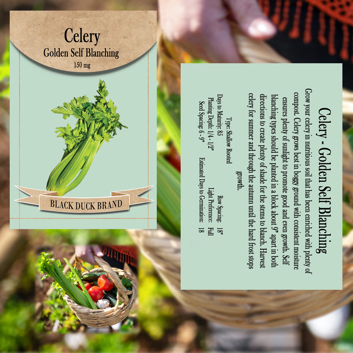 2025 You Pick Vegetables - Customize Your Sets with All the Savings! Bulk Sets