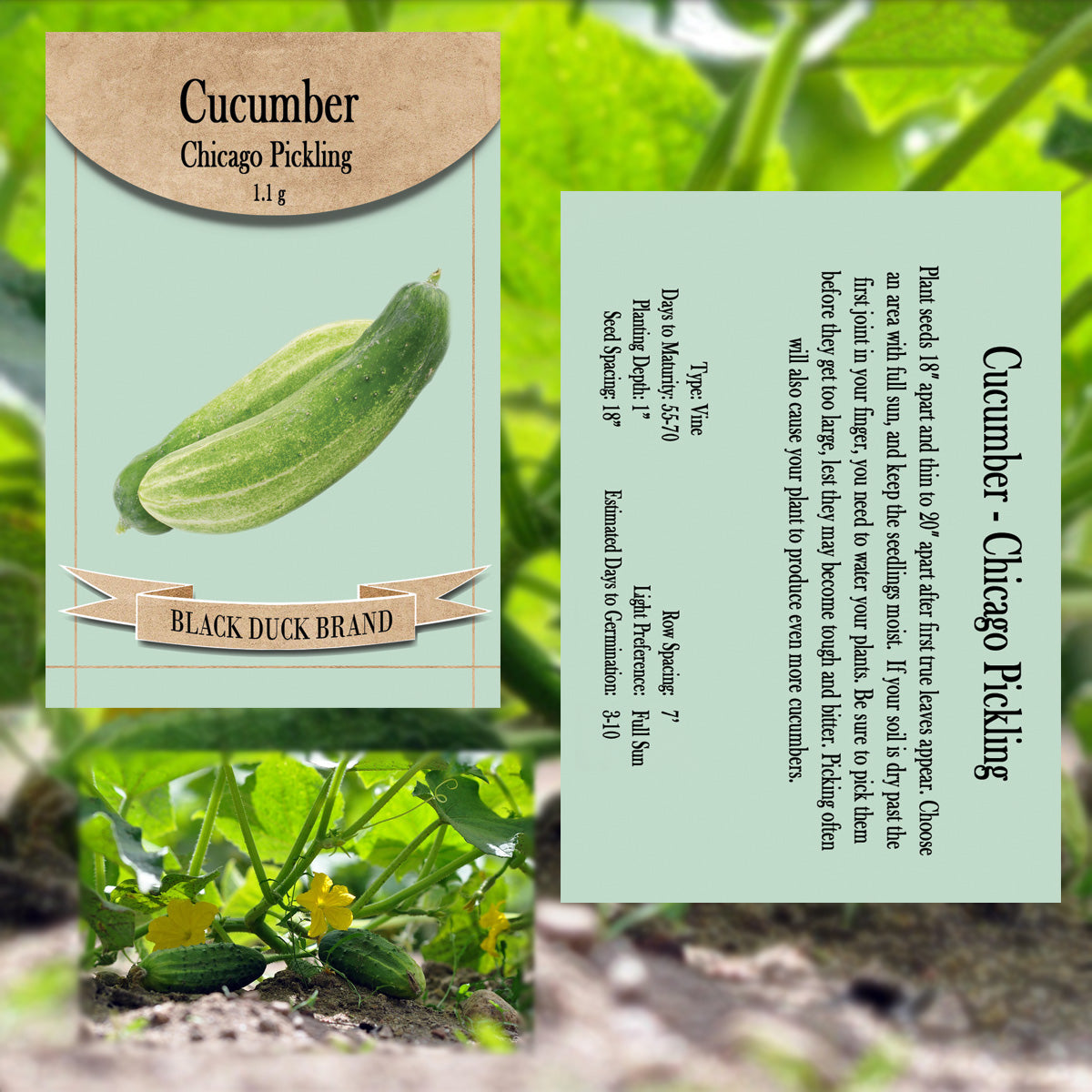 2025 You Pick Vegetables - Customize Your Sets with All the Savings! Bulk Sets