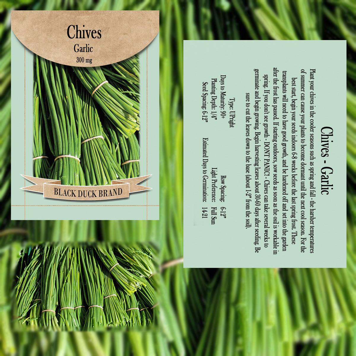 2025 You Pick Herbs - Customize your Set with All the Savings! Bulk Sets