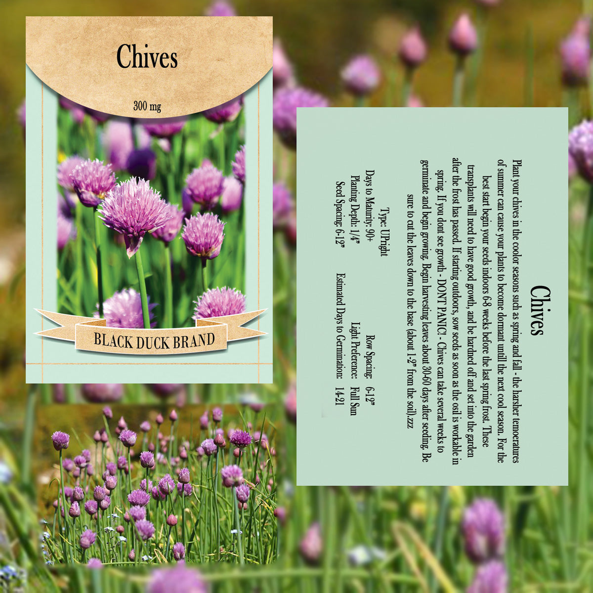 2025 You Pick Herbs - Customize your Set with All the Savings! Bulk Sets