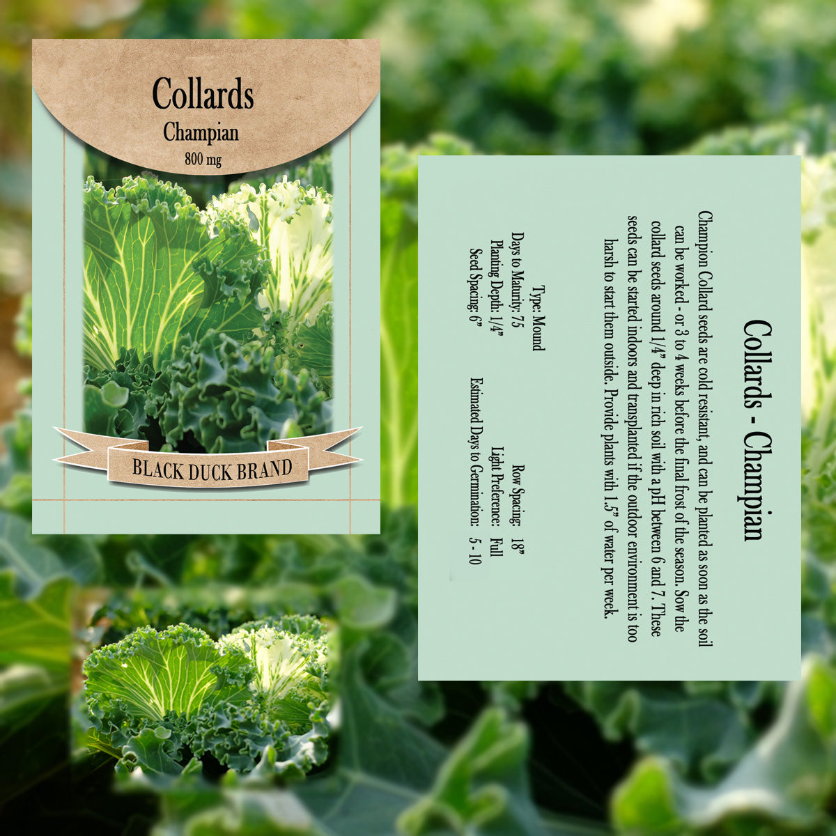 2025 You Pick Vegetables - Customize Your Sets with All the Savings! Bulk Sets