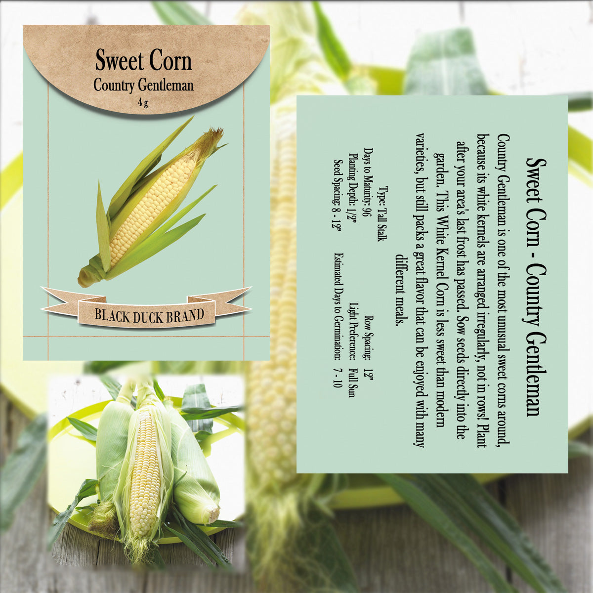2025 You Pick Vegetables - Customize Your Sets with All the Savings! Bulk Sets