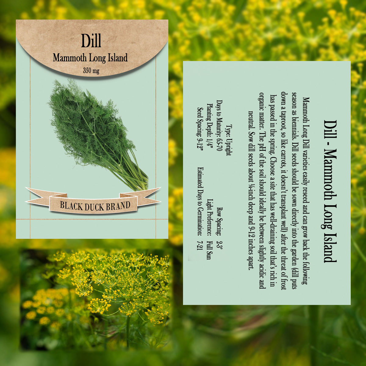 2025 You Pick Herbs - Customize your Set with All the Savings! Bulk Sets