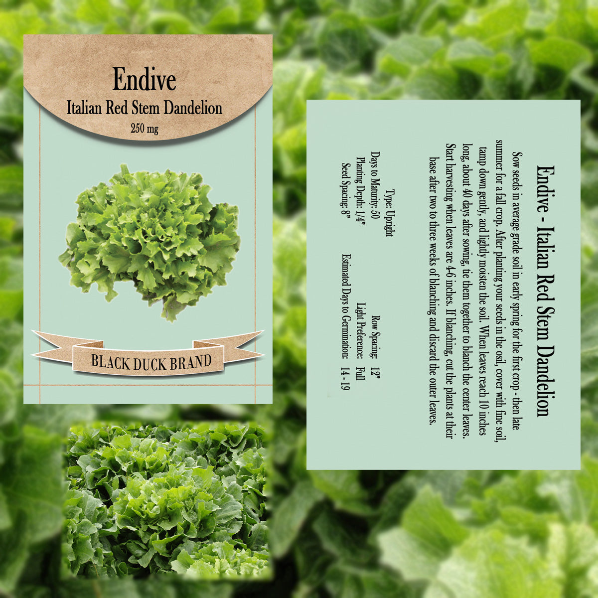 2025 You Pick Vegetables - Customize Your Sets with All the Savings! Bulk Sets