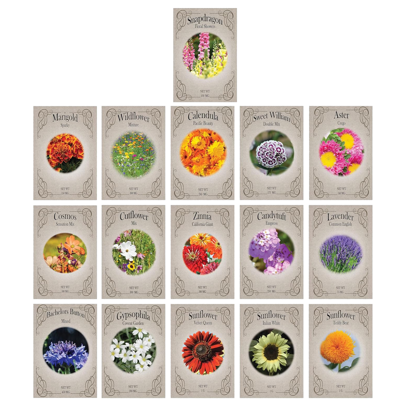 flower seeds packs Set of 16 Heirloom Flower Seeds - Non-GMO - 16 Varieties