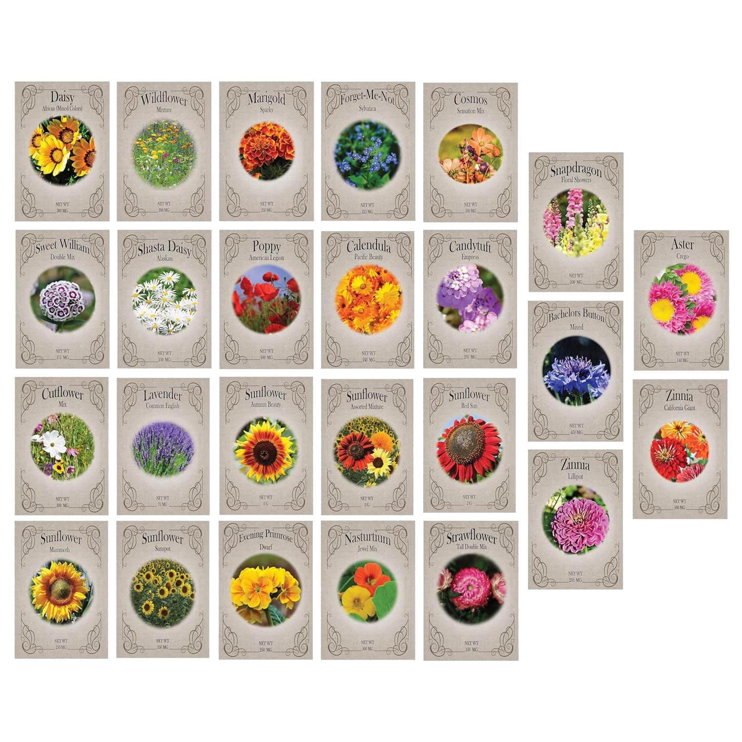 Set of 25 Heirloom Flower Seeds - Non-GMO - Assorted Flower Seeds - Individually Sealed Packs