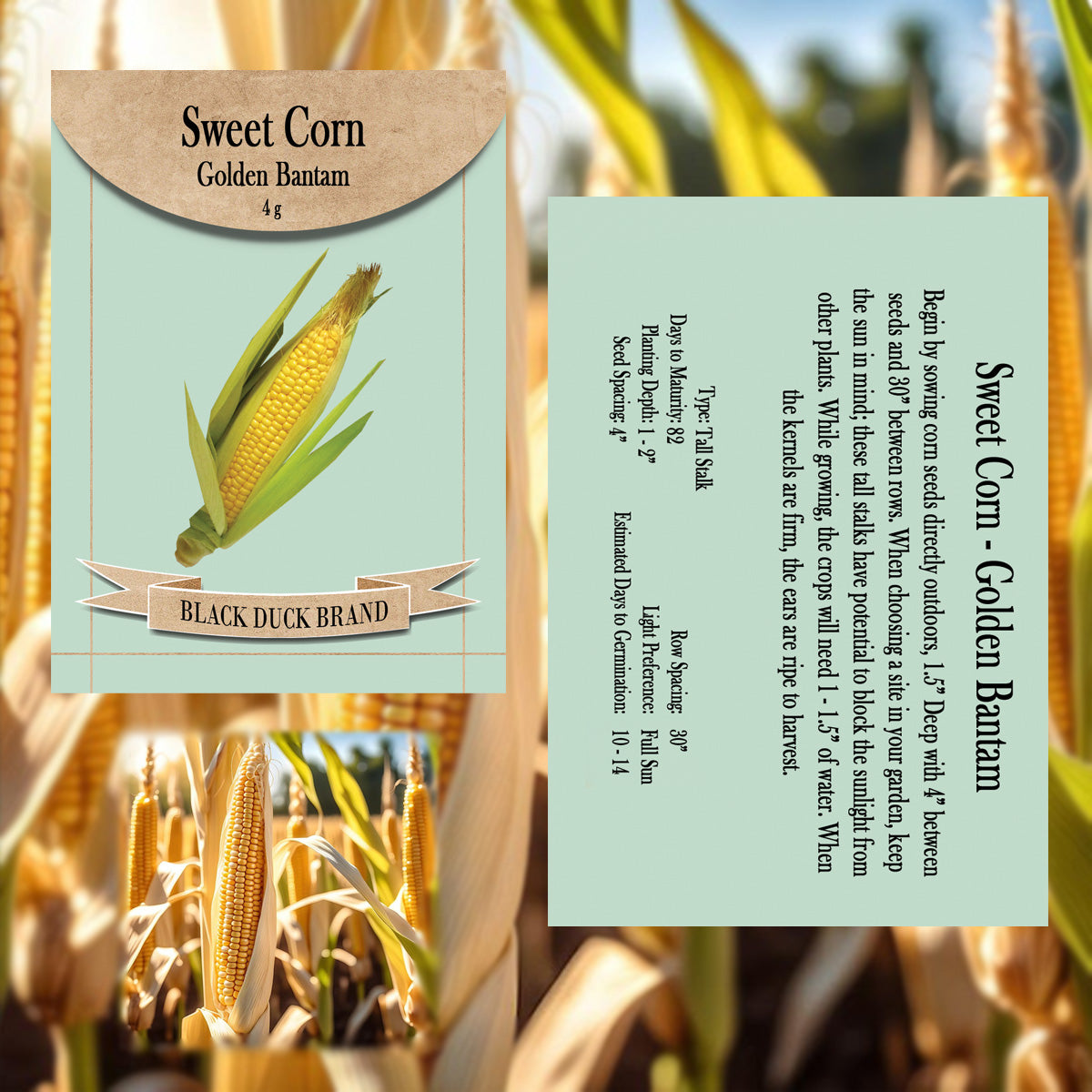 2025 You Pick Vegetables - Customize Your Sets with All the Savings! Bulk Sets