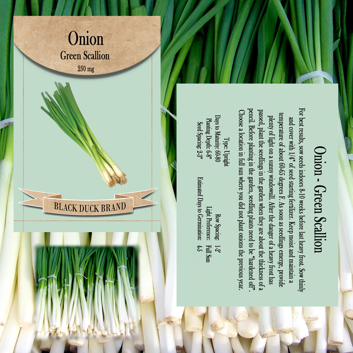 You Pick Vegetables - Customize Your Sets with All the Savings! Bulk Sets