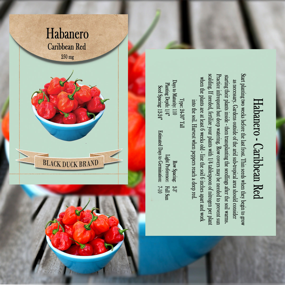 2025 You Pick Vegetables - Customize Your Sets with All the Savings! Bulk Sets