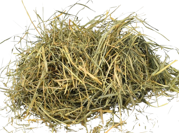 Orchard Grass & Clover Mix - All Natural Pet Hay - Chemical Free - For Rabbits, Rats, Hamsters, and Other Small Animals - Premium Cuttings
