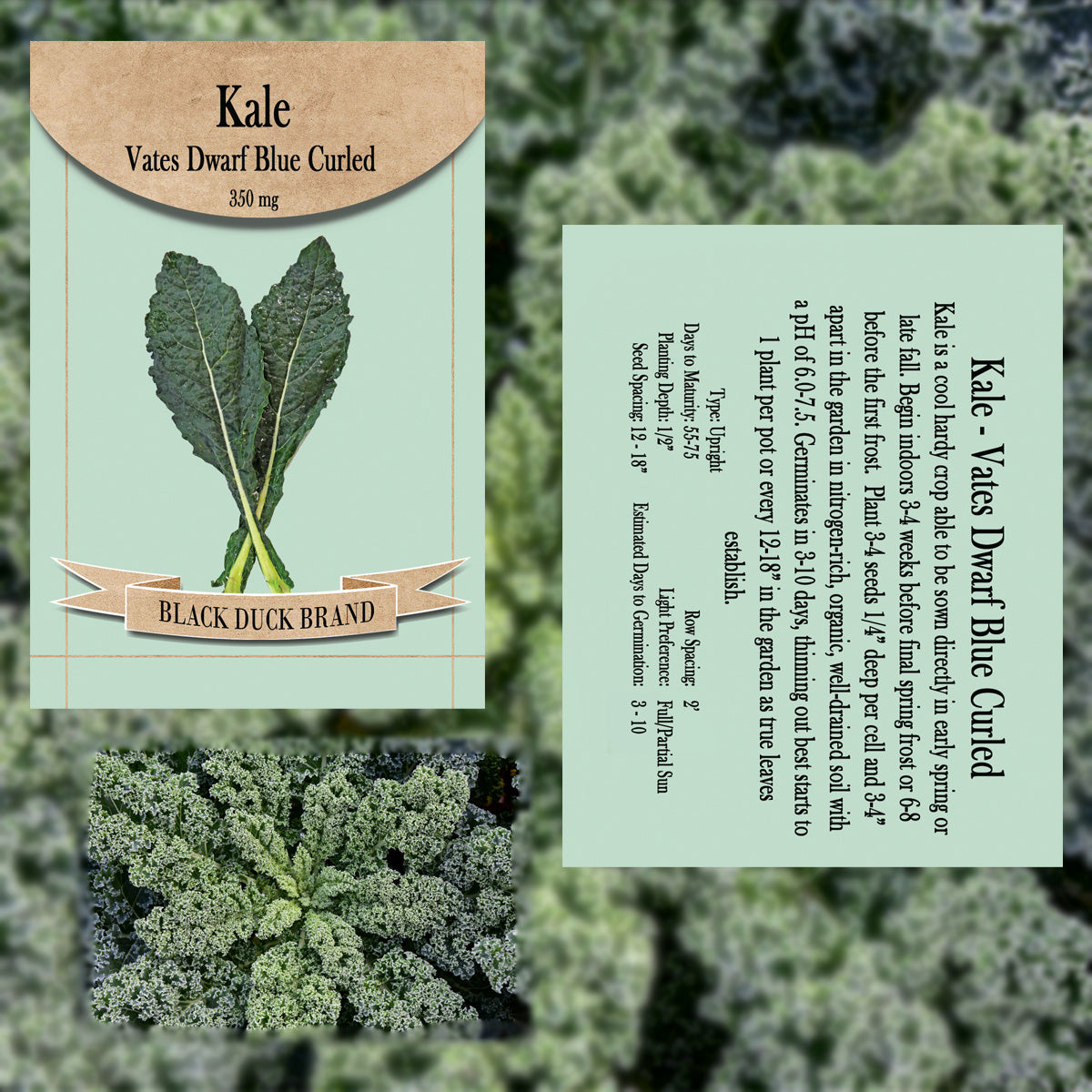 2025 You Pick Vegetables - Customize Your Sets with All the Savings! Bulk Sets