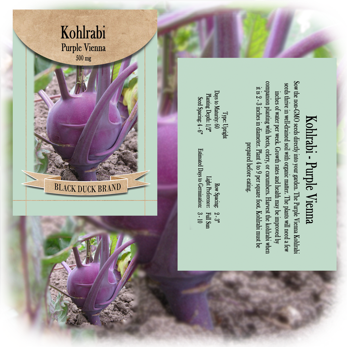 2025 You Pick Vegetables - Customize Your Sets with All the Savings! Bulk Sets