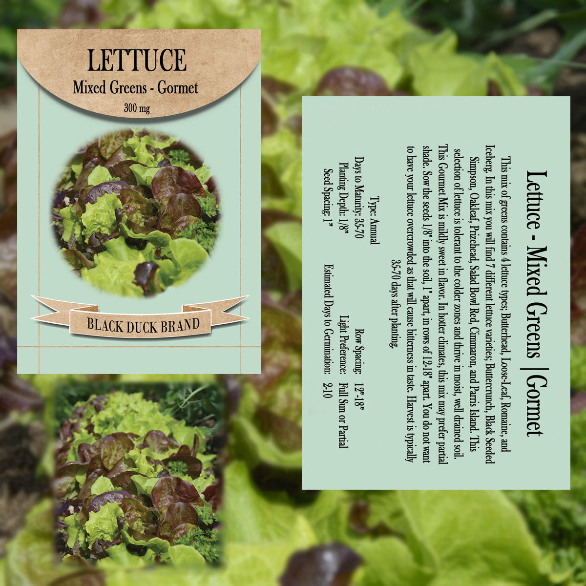 2025 You Pick Vegetables - Customize Your Sets with All the Savings! Bulk Sets