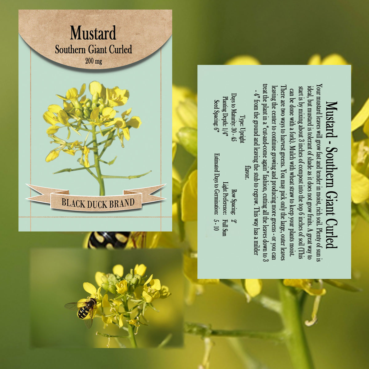 2025 You Pick Herbs - Customize your Set with All the Savings! Bulk Sets