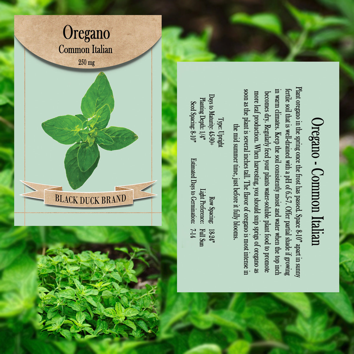 2025 You Pick Herbs - Customize your Set with All the Savings! Bulk Sets