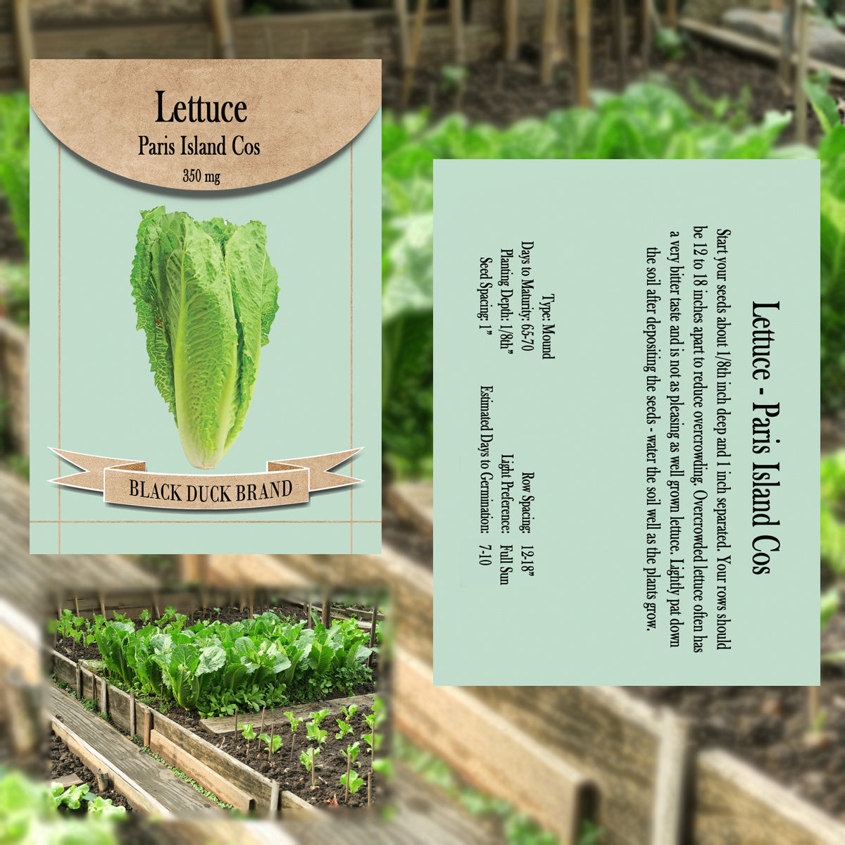 2025 You Pick Vegetables - Customize Your Sets with All the Savings! Bulk Sets