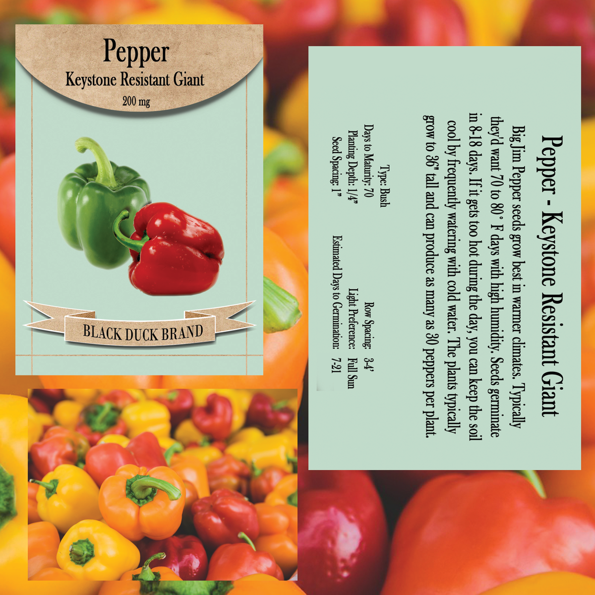 2025 You Pick Vegetables - Customize Your Sets with All the Savings! Bulk Sets