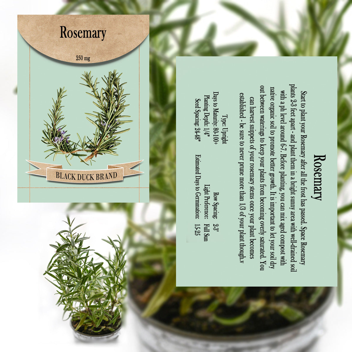 2025 You Pick Herbs - Customize your Set with All the Savings! Bulk Sets