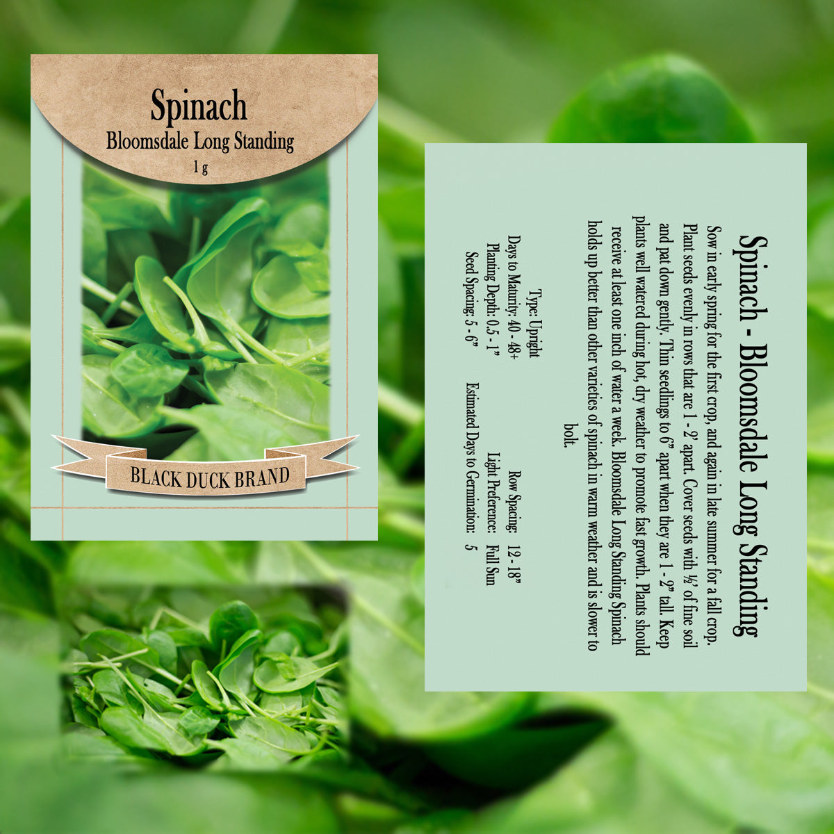 2025 You Pick Vegetables - Customize Your Sets with All the Savings! Bulk Sets