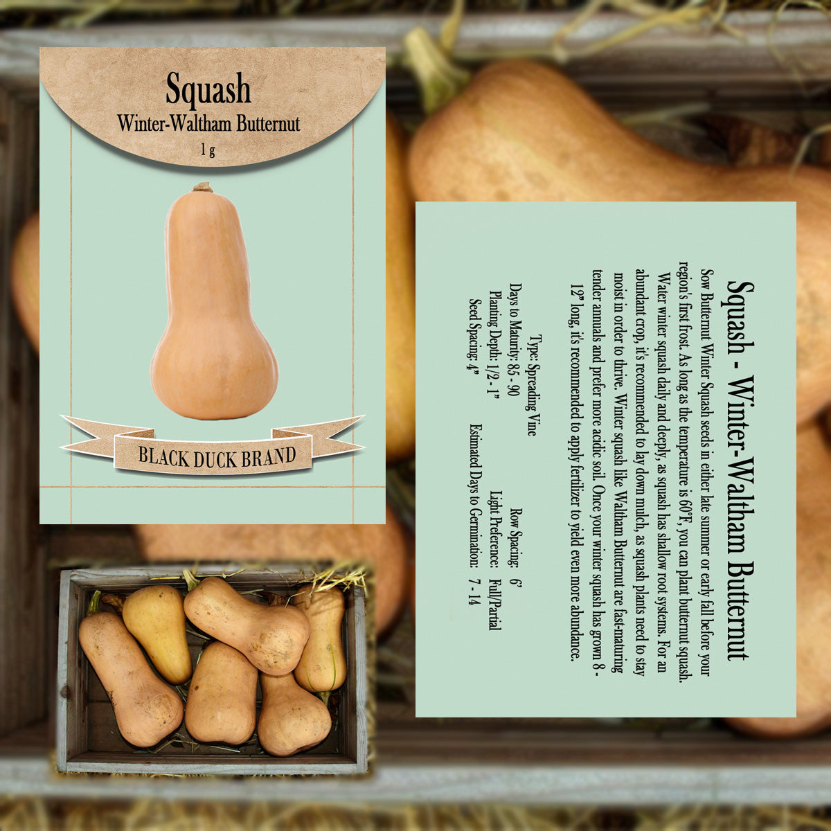 2025 You Pick Vegetables - Customize Your Sets with All the Savings! Bulk Sets