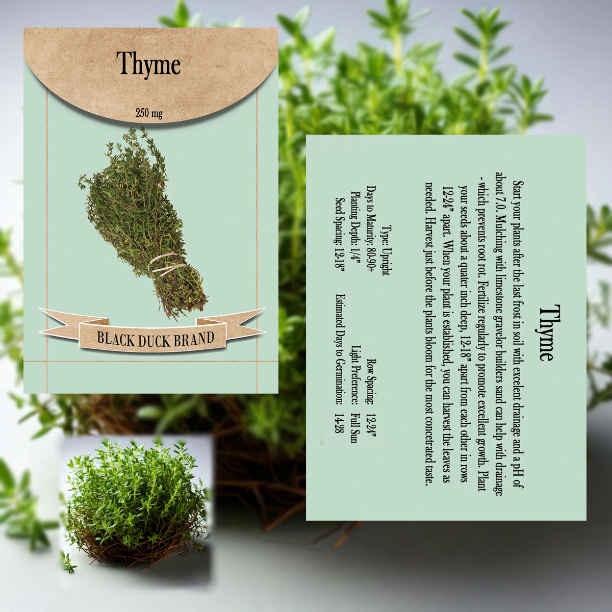 2025 You Pick Herbs - Customize your Set with All the Savings! Bulk Sets