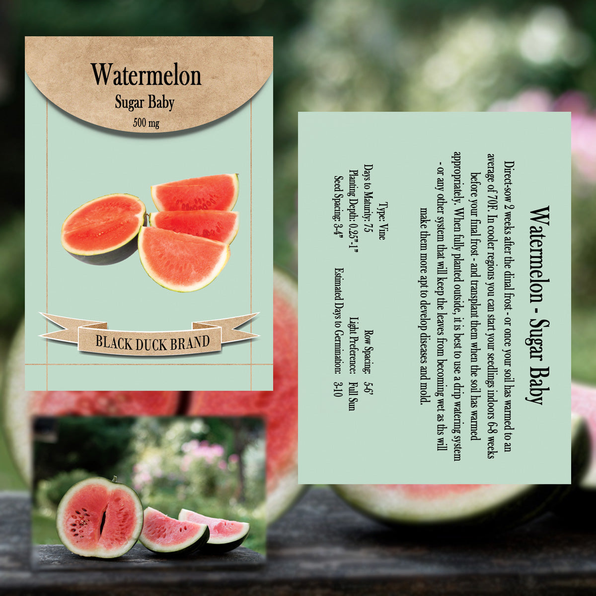2025 You Pick Vegetables - Customize Your Sets with All the Savings! Bulk Sets
