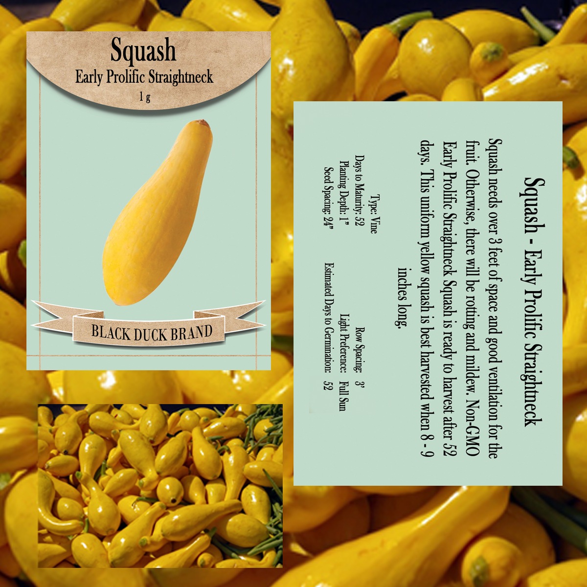 2026 You Pick Vegetables - Customize Your Sets with All the Savings! Bulk Sets