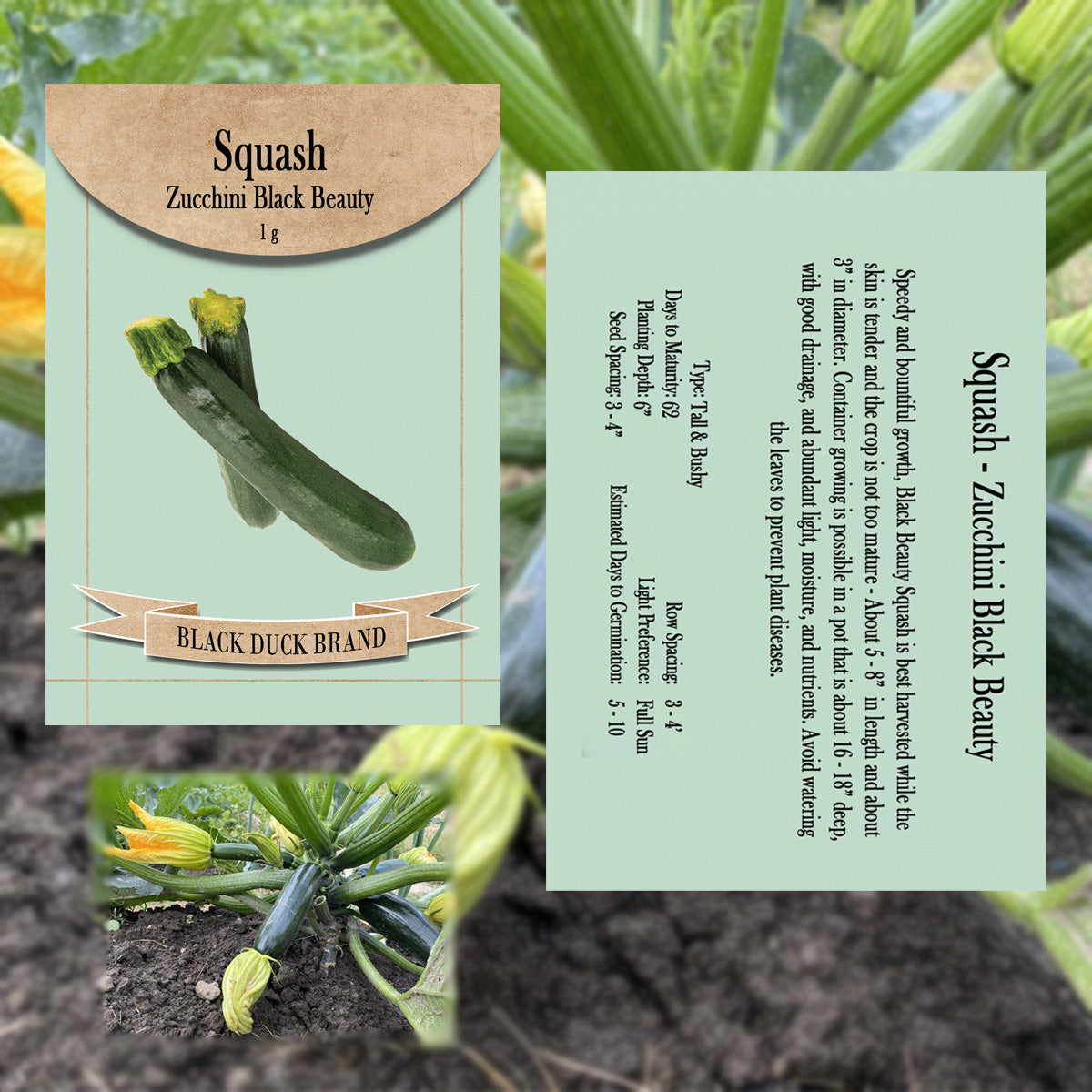 2025 You Pick Vegetables - Customize Your Sets with All the Savings! Bulk Sets