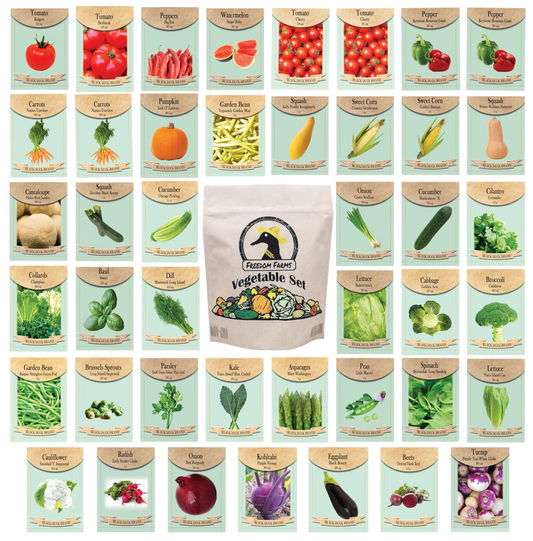 Set of 43 Heirloom Vegetable Garden Seeds - Heirloom Vegetable Garden Seeds - 100% Non-GMO!