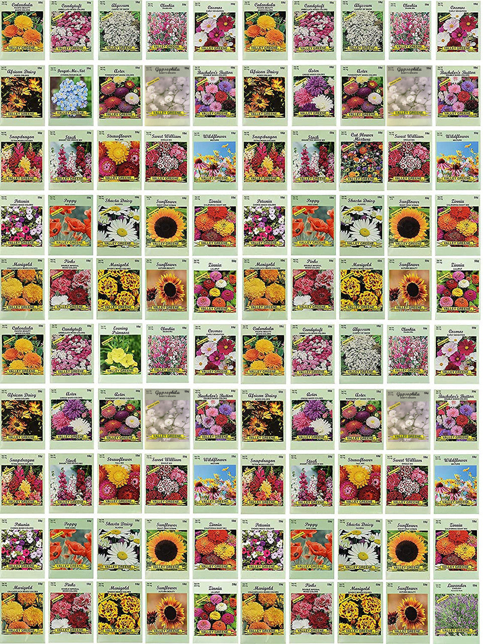 Set of 100 Assorted Valley Green Flower Seed Packets! Flower Seeds in Bulk - 20+ Varieties Included