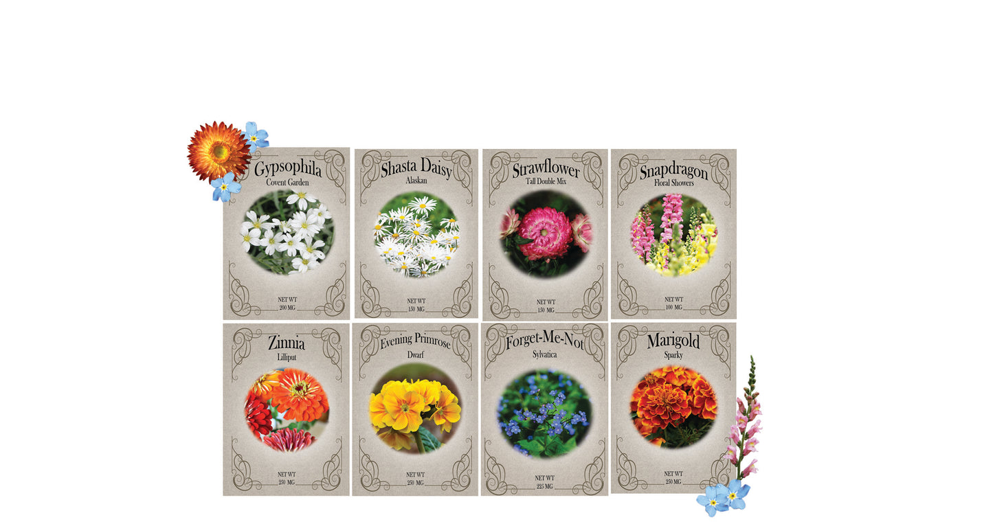 Flower Memorial Seed Pack - 8 Varieties of Non-GMO and Heirloom Premium Seeds for Planting - Forget me Nots, Gypsophila, Shasta Dasiy, Zinnia, and More