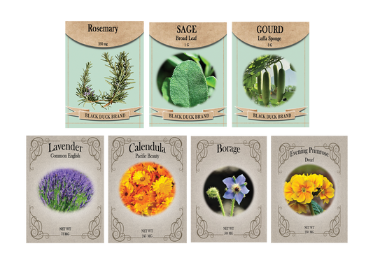 Botanical Skincare Seed Kit – 7 Heirloom Herbs & Flowers for Natural Soap & DIY Bath Products | Grow Lavender, Calendula, Rosemary & More