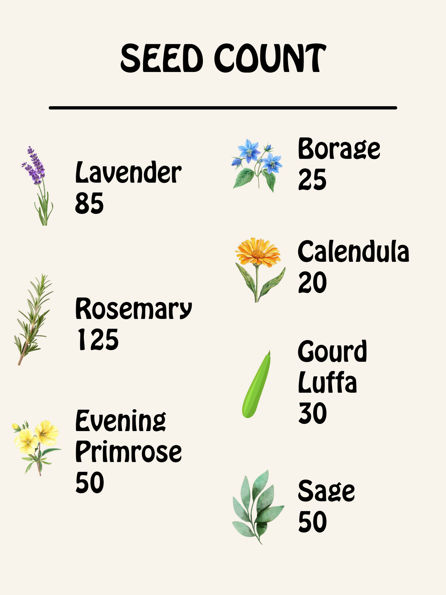 Botanical Skincare Seed Kit – 7 Heirloom Herbs & Flowers for Natural Soap & DIY Bath Products | Grow Lavender, Calendula, Rosemary & More