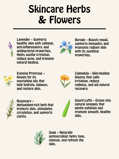 Botanical Skincare Seed Kit – 7 Heirloom Herbs & Flowers for Natural Soap & DIY Bath Products | Grow Lavender, Calendula, Rosemary & More