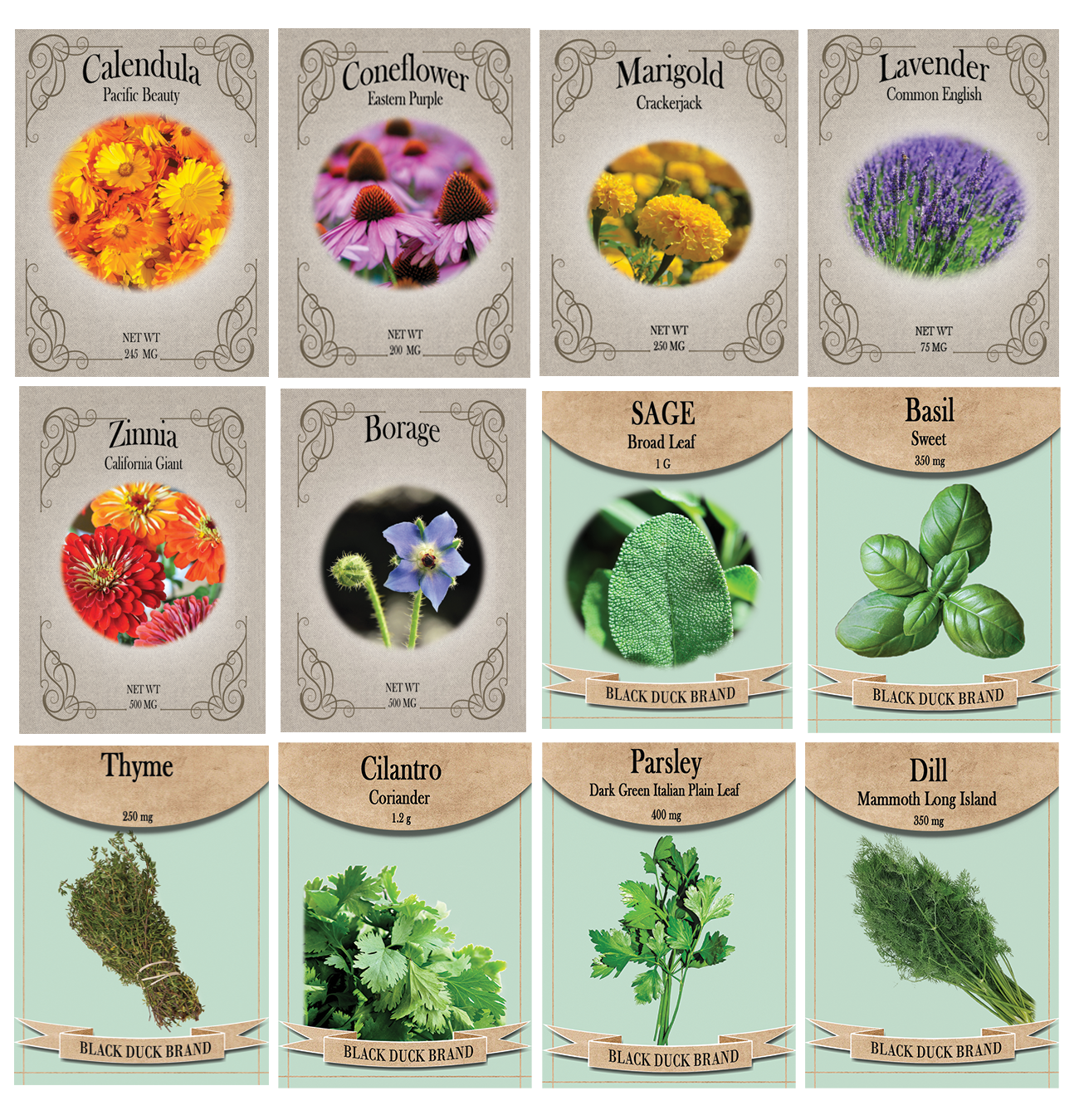 Medicinal Herb and Flower Set - 12 Varieties of Non-GMO and Heirloom Flowers and Herbs - Basil, Cilantro, Calendula, Lavender, Sage, and More