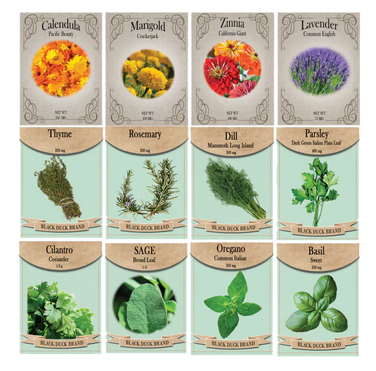 Medicinal Herb and Flower Set - 12 Varieties of Non-GMO and Heirloom Flowers and Herbs - Basil, Cilantro, Calendula, Lavender, Sage, and More